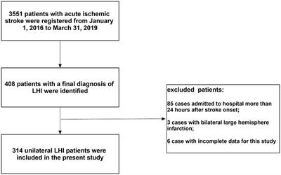 Stroke Lateralization in Large Hemisphere Infarctions: Characteristics, Stroke-Related Complications, and Outcomes